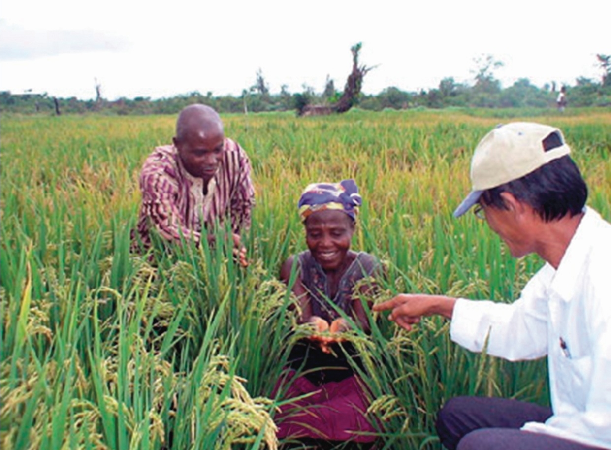 Vietnam-Afrique la coopération bilatérale dans l’économie sur la bonne voie